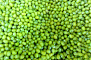 What is the meaning of dream about mung bean